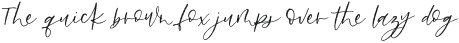 Bonjour Mon Amour Script otf (400)