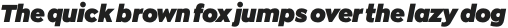 Zona Pro Ultra Italic otf (900)