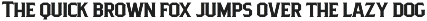 Pittsbrook Serif preview