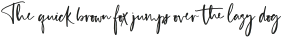 Model Runway Script otf (400)