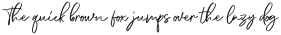 DianaWebber Script Solid otf (400)