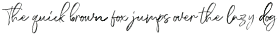DianaWebber Script Brush otf (400)