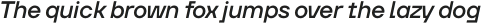 TT Firs Neue DemiBold Italic otf (600)
