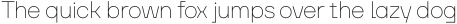 TT Firs Neue Black Italic otf (900)