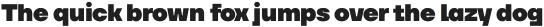 TT Firs Neue Thin otf (100)