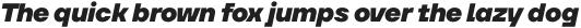 TT Firs Neue Thin Italic otf (100)