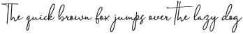 President Script Regular otf (400)