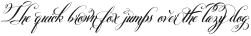 Belluccia Stylistic Bold otf (700)