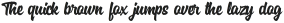Specta Retro Script otf (400)