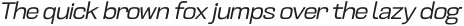 Crude Light Slanted Expanded otf (300)