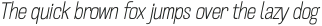 Crude Thin Slanted Compressed otf (100)