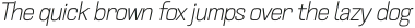 Crude Thin Slanted otf (100)