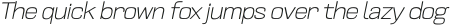 Crude Thin Slanted Expanded otf (100)