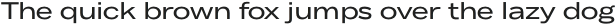 Body Text Large otf (400)
