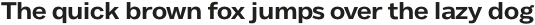 Body Text Fit otf (700)