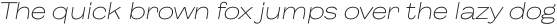 Body Grotesque Large Light Italic otf (300)
