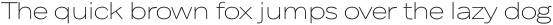 Body Text Large Light otf (300)