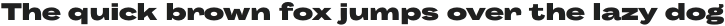 Body Grotesque Large ExtraBold otf (700)