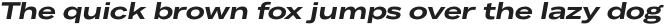 Body Text Large otf (700)