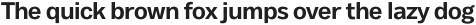 Body Text otf (700)