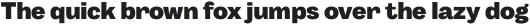 Body Grotesque ExtraBold otf (700)