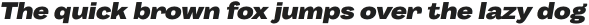Body Grotesque Fit ExtraBold Italic otf (700)