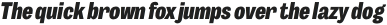 Body Grotesque Slim ExtraBold Italic otf (700)