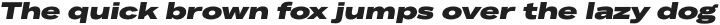 Body Text Large ExtraBold Italic otf (700)