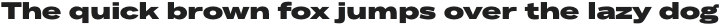 Body Text Large ExtraBold otf (700)