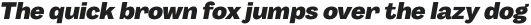 Body Grotesque ExtraBold Italic otf (700)