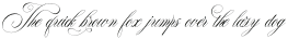 The Duality Regular otf (400)