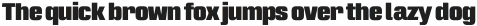 Intensa Black Condensed otf (900)