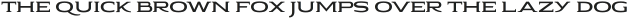 Pauraque_Sans_Rough ttf (400)