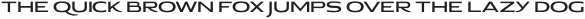 Pauraque_Serif_Clean ttf (400)