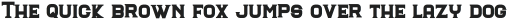 The Immortal Serif Solid otf (400)