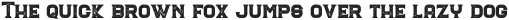 The Immortal Serif Rough otf (400)