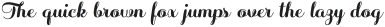 Sabores Script Black Italic otf (900)