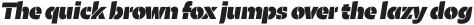 Maipo Sans Stencil Heavy Italic otf (800)