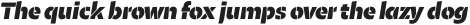 Maipo Sans Stencil Black Italic otf (900)