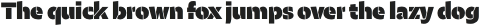 Maipo Sans Stencil Heavy otf (800)