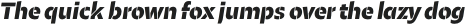 Maipo Sans Stencil UltraBold Italic otf (700)