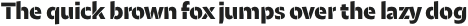 Maipo Sans Stencil UltraBold otf (700)