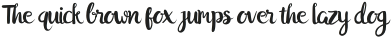 Hayuk Script otf (400)