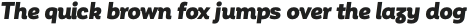 Corporative Alt Black Italic otf (900)