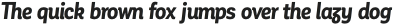 Corporative Alt Cnd Bold Italic otf (700)