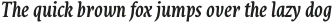 Destra Medium Italic otf (500)