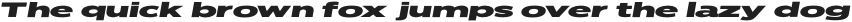 Widebody Sans Super Italic otf (400)