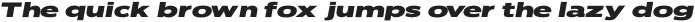Widebody Sans Italic otf (400)