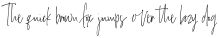 Salernitana Script otf (400)