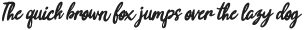 Joyfulness Italic Script otf (400)